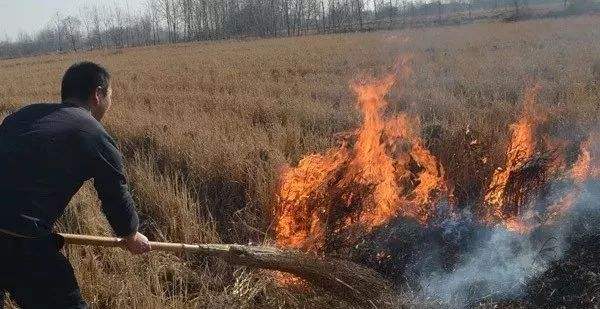 生物质颗粒机械