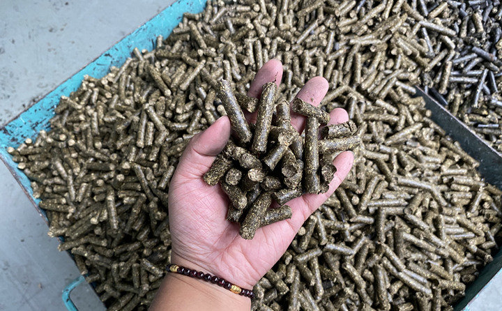 生物质颗粒机的颗粒燃料