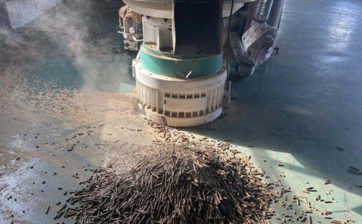 黑龙江鹤立林业局：生物质颗粒产业点燃绿色发展新引擎