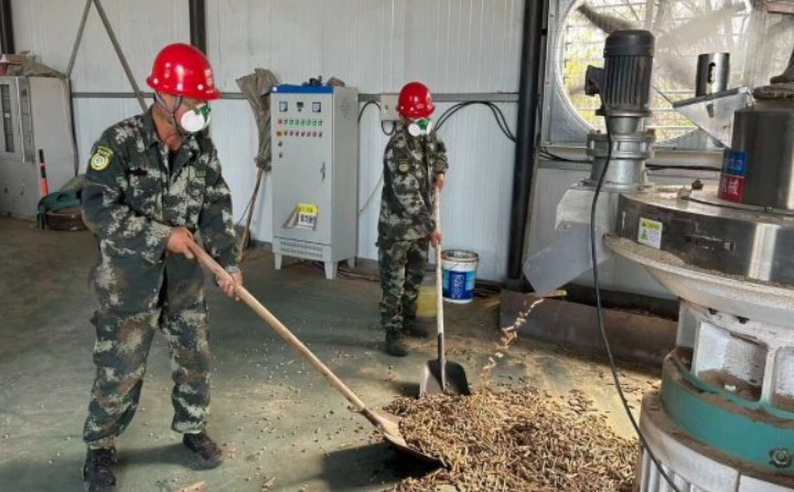 黑龙江鹤立林业局：生物质颗粒产业点燃绿色发展新引擎