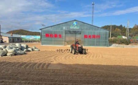 黑龙江鹤立林业局：生物质颗粒产业点燃绿色发展新引擎